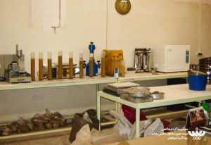 آزمایشگاه محلی و مقیم بیناآزما